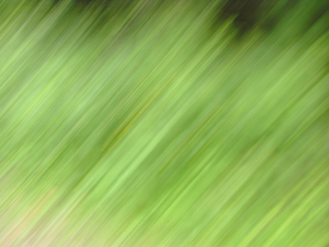 ../previews/140-BILD0233.JPG.medium.jpeg
