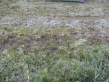 ../thumbnails/020-BILD7129.JPG.small.jpeg